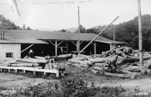 Cover photo for Turning Back Time: Celebrating the World of Carolina Wood Turning Company