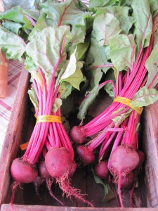 Cover photo for Beet-Iful Roots