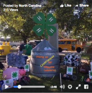 Decorated hay bale at the fair