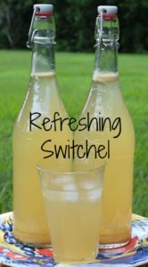Cover photo for Switchel (Haymakers Punch): Nature’s Healthy Gatorade
