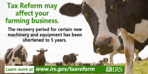 Tax reform flyer