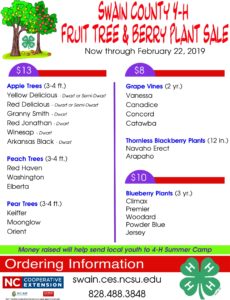 Cover photo for 2019 Swain County 4-H Fruit Tree & Berry Plant Sale