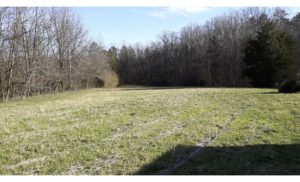 Cover photo for 20-Acre Hay Field for Lease and Other Creative Ideas Welcome in NW Forsyth County