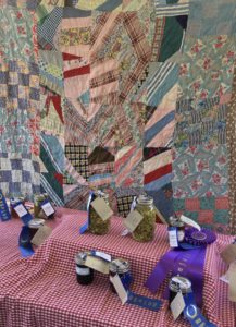 Cover photo for Ribbon Winners at Fair