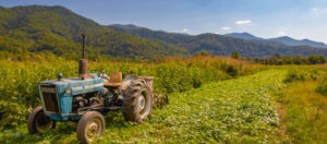 Cover photo for The Power to Increase Farm Income!