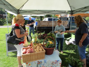 Cover photo for COVID-19 Resources for Growers & Others in Agriculture