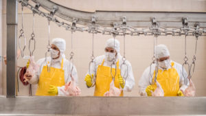 Group of workers working at a chicken factory - food industry concepts