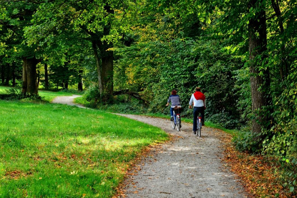 Two people on bicycles on wooded trail