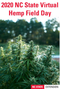 Cover photo for 2020 Hemp Field Day Is Live!