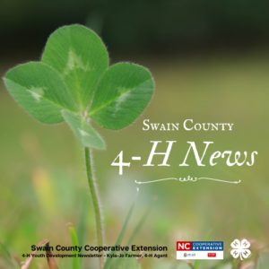 4-H News Logo