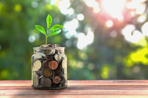 Cover photo for Making Money Count