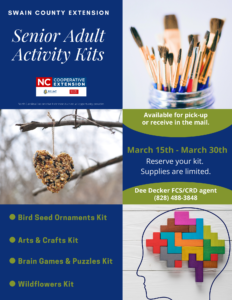 Senior Adult Activity Kits