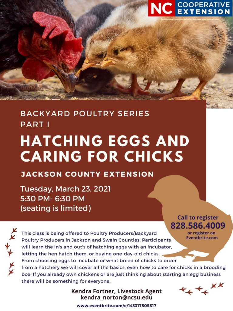 Hatching Eggs and Caring for Chicks workshop flyer