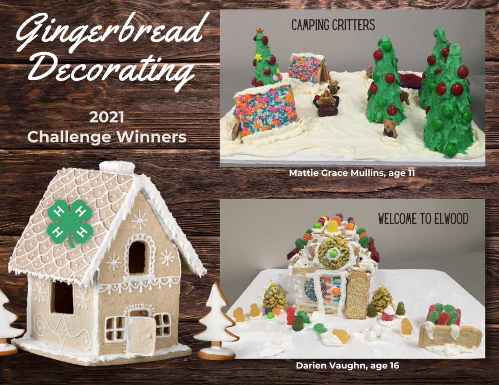 2021 Gingerbread Challenge Winners