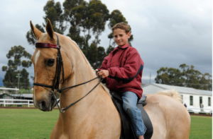 Horse back rider