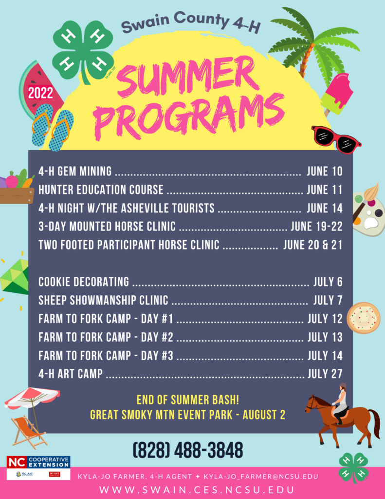 2022 4-H Summer Programs Flyer