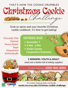 That's How the Cookie Crumbles Christmas Cookie Challenge