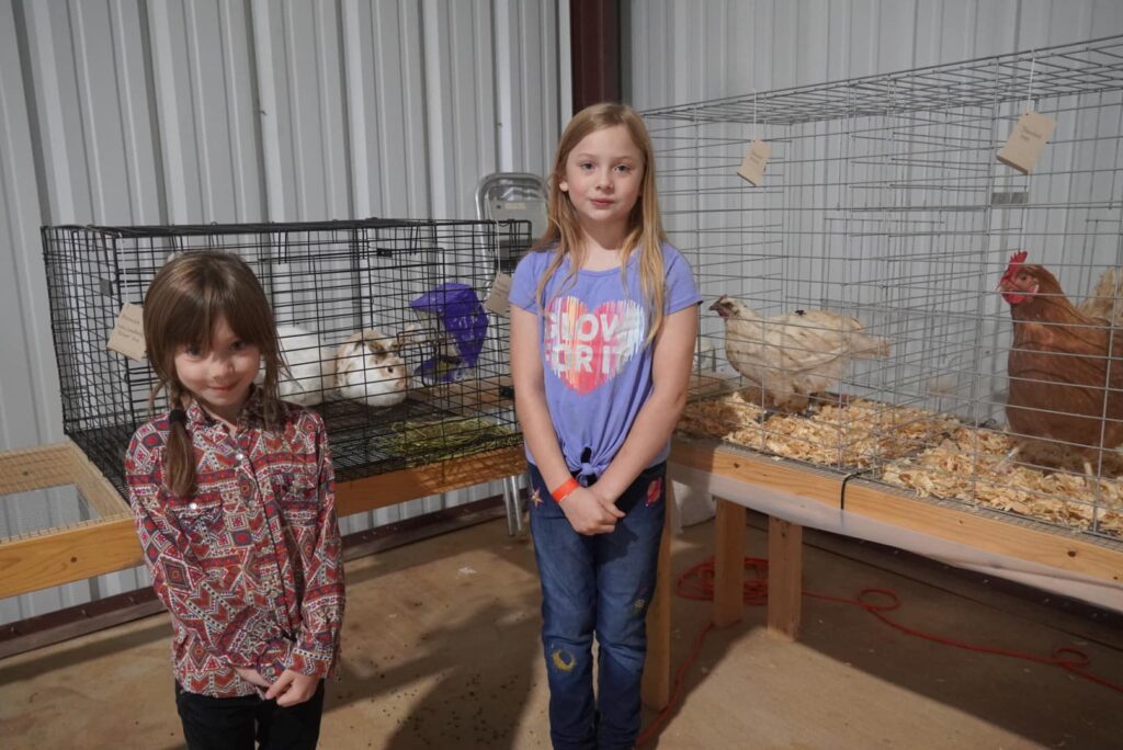 Two girls display chickens and rabbits at a livestock competition.