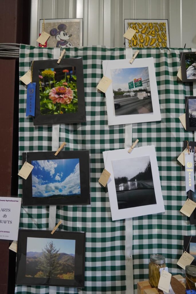Photographs in a contest, some have ribbons.