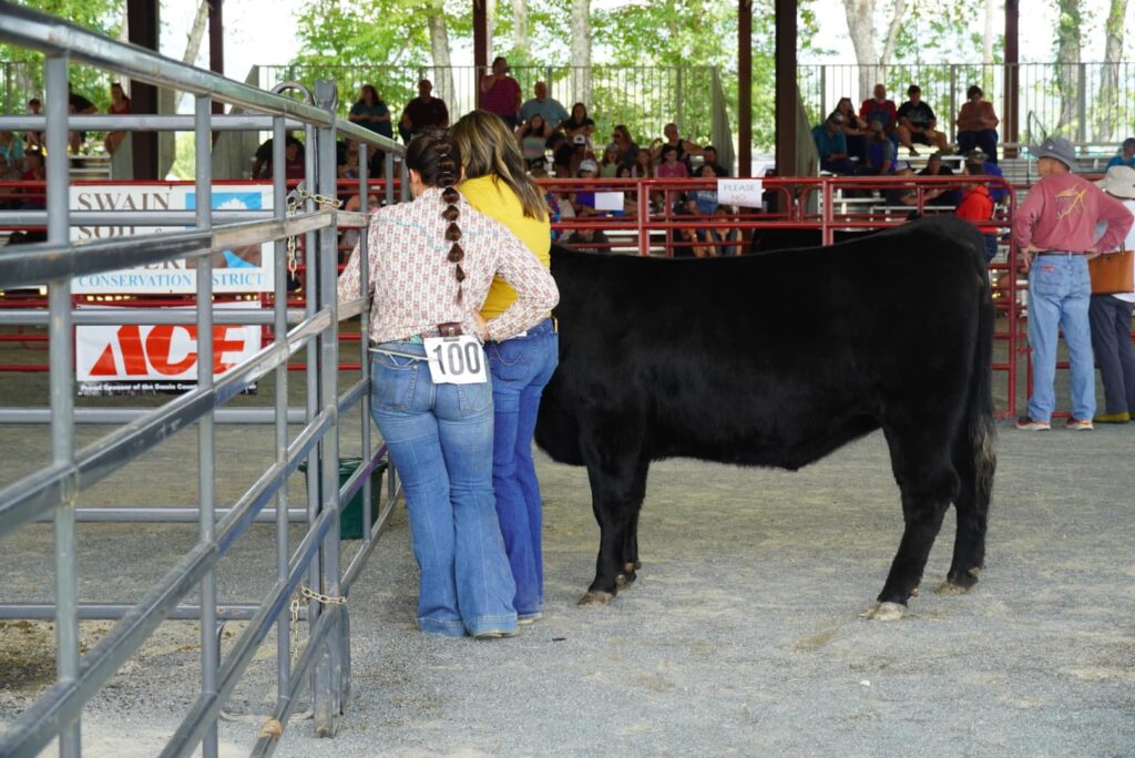 Girls stand beside a cow at a show.