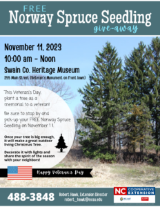 SWAIN Veteran's Day Tree Give-Away 2023