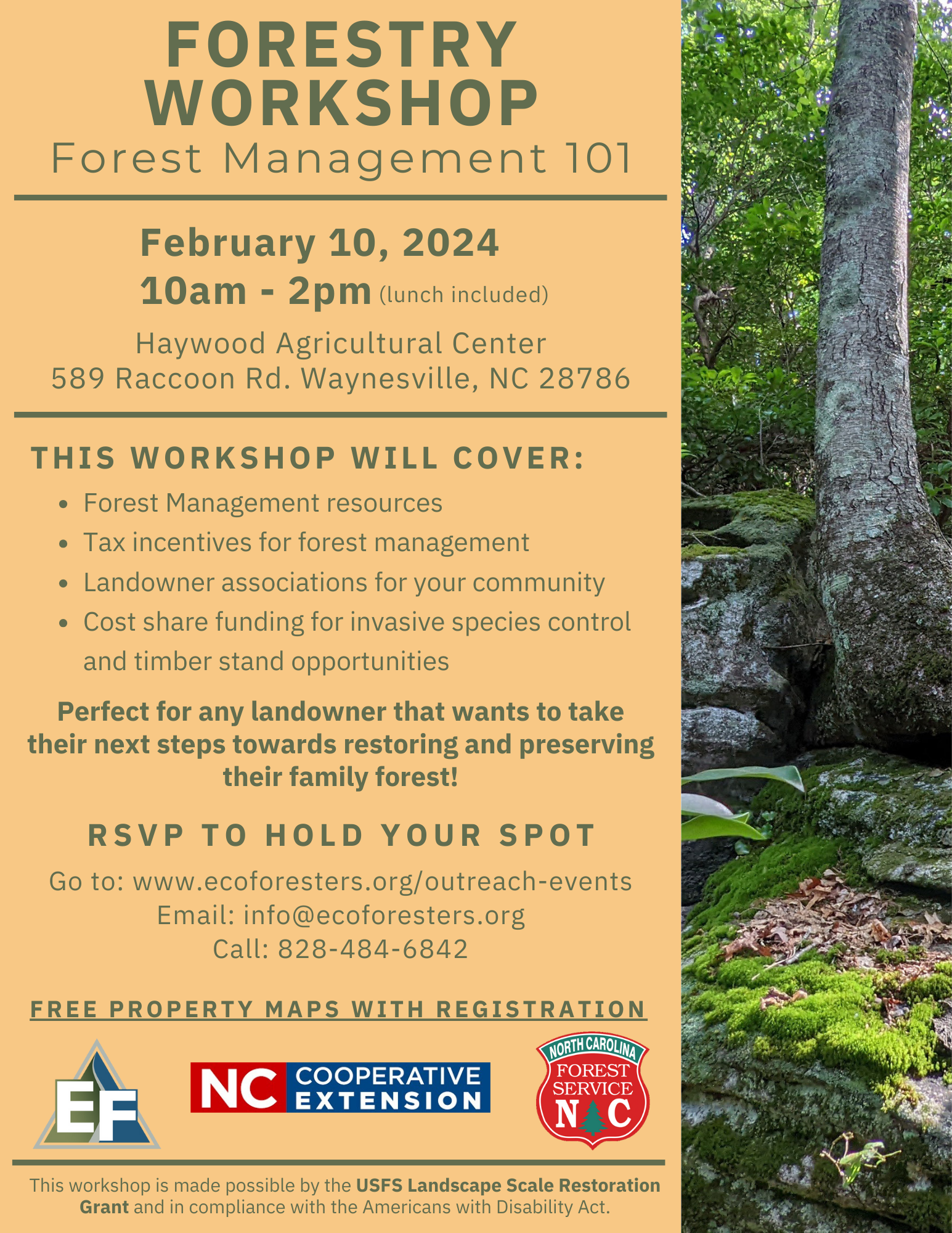 Forestry Management 101 Workshop Flyer