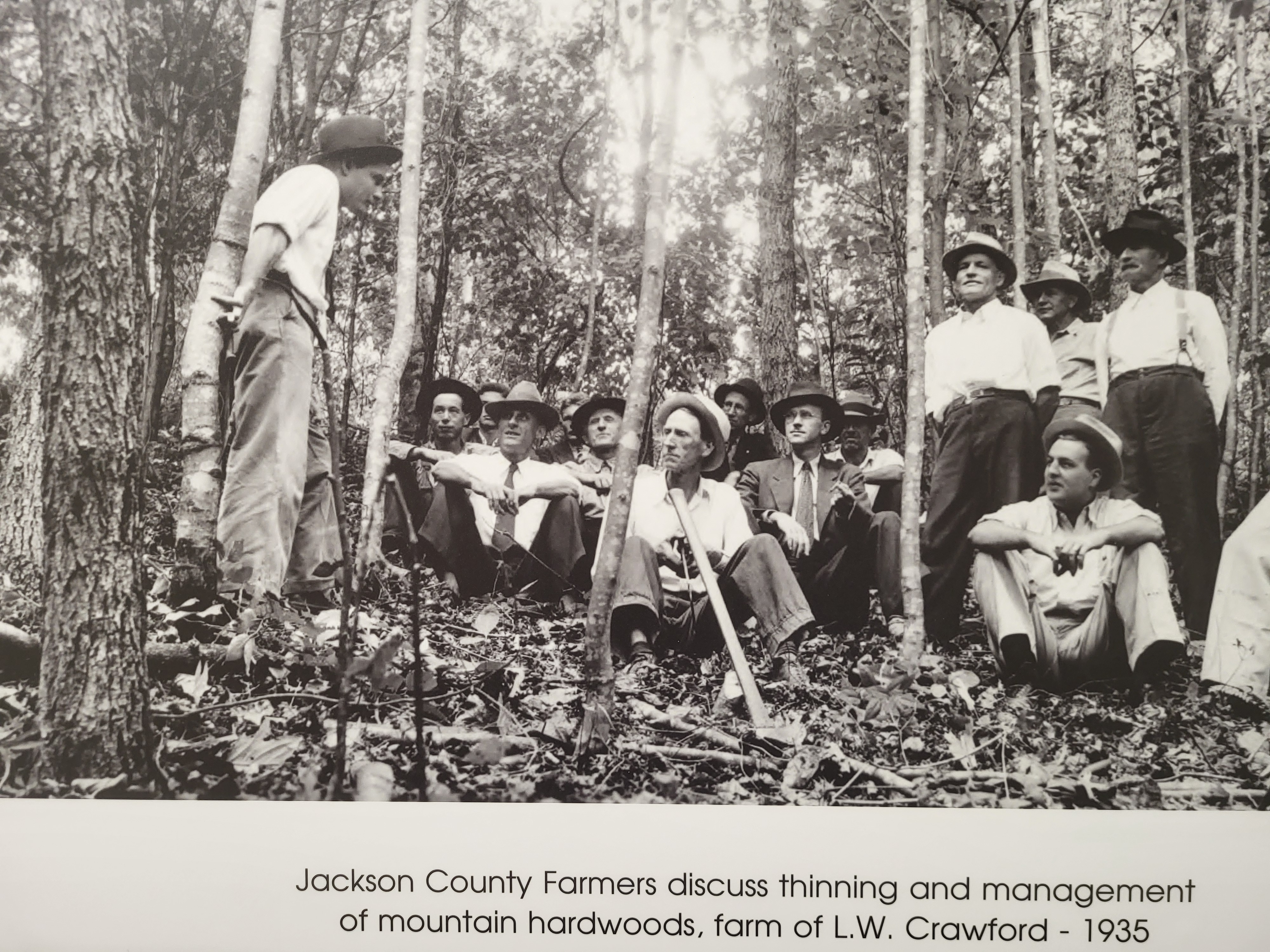 Forestry, Jackson County 1930s