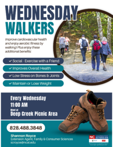 Wednesday Walkers Flyer 2024