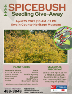 2025 SpiceBush Seedling Give-Away