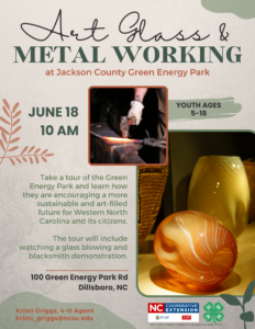 4-H Art Glass & Metal Working June 2024