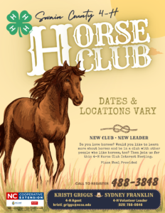 4-H Horse Club - General Flyer