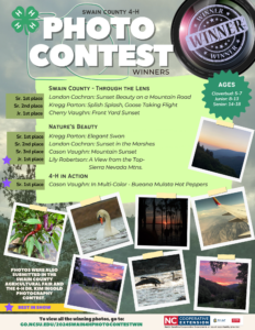 4-H Photography Contest 2024 Winners