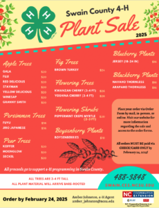 Plant Sale flier