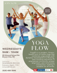 Yoga Flow 2025