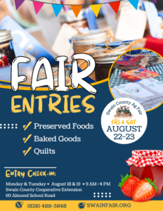 2025 Fair Entries Foods, baked, quilts