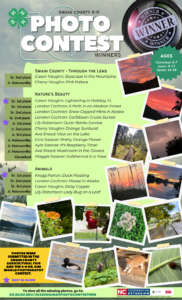 2025 4-H Photography Contest Winners