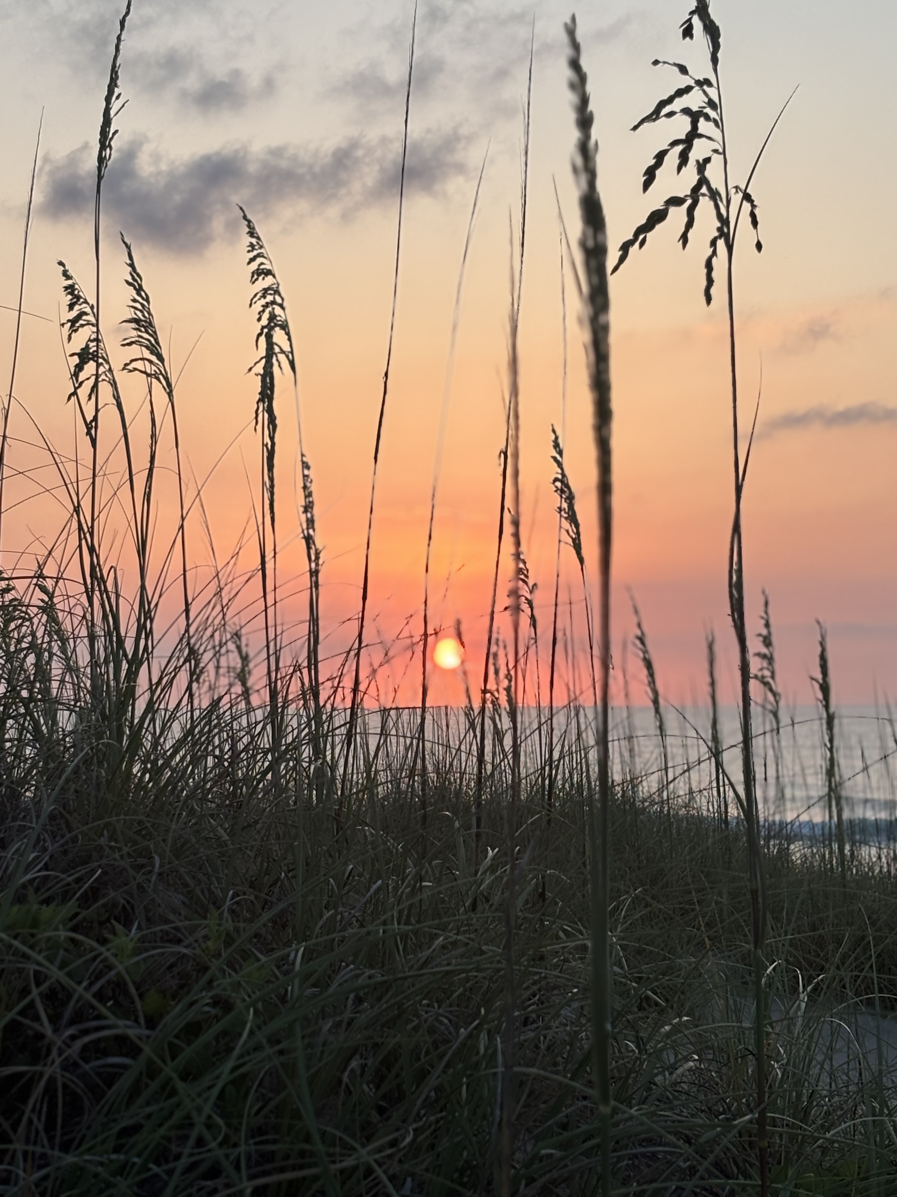 Lily Robertson Outer Banks Sunrise