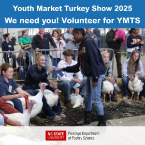Turkey show volunteer handing out a ribbon on show day. Turkeys and competitors in a showring holding ribbons.